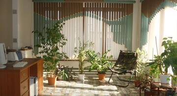 Фотографии Гостиница Hostel Tsentralniy na Gogolya г. Краснодар Краснодарский край (Россия) №2 Фото Гостиница Hostel Tsentralniy na Gogolya г. Краснодар 2