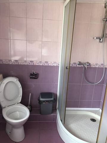 Фото номера Трехместный номер Гостиница Planeta Hotel г. Краснодар 6